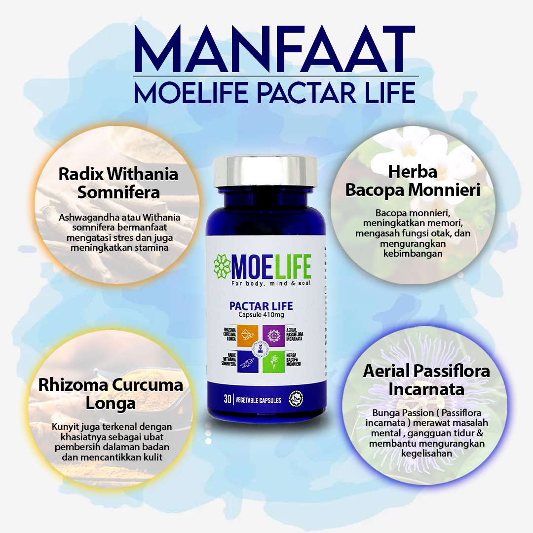 WhatsApp Image 2022-01-12 at 12.29.09 PM